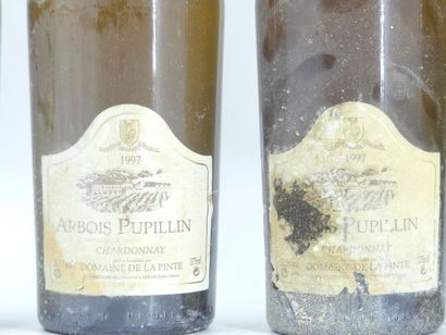 6 ARBOIS PUPILLIN DOMAINE LA PINTE 
2 bouteilles...