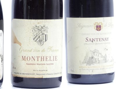 1 bouteille de SANTENAY 2004 CAVE DES HAUTES...