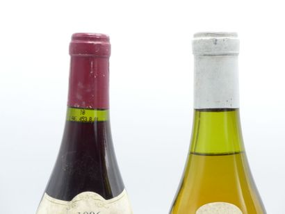 1 bouteille de SANTENAY 2004 CAVE DES HAUTES...