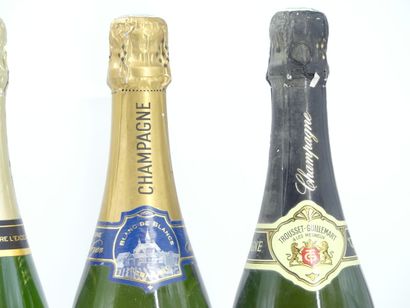 1 bouteille de CHAMPAGNE, SAINTGYBRYEN

2...