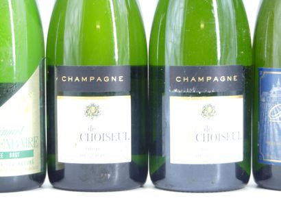 1 bouteille de CHAMPAGNE, SAINTGYBRYEN

2...