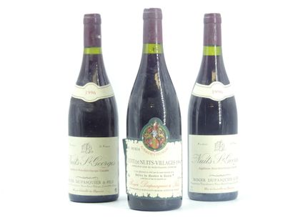 2 bottles of NUITS ST GEORGES, 1996, Roger...