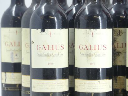 12 GALIUS 2001
12 bouteilles de ST EMILION,...