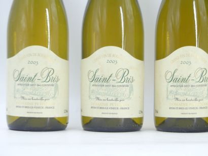6 bouteilles de ST BRIS 2003 DOMAINE PETITJEAN





Sur...