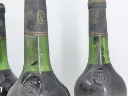 7 CHATEAU TALBOT 1974
7 bouteilles de SAINT...
