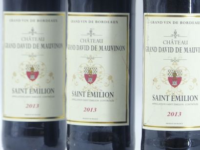 5 bouteilles de SAINT EMILION 2013 GRAND...