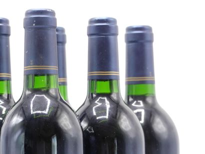 6 bouteilles de MARGAUX GCCL 1994 CHÂTEAU...