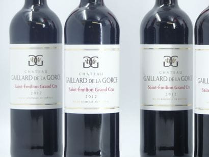 6 CHATEAU GAILLARD DE LA GORCE
6 bouteilles...