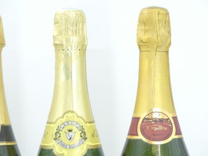 6 bouteille de mousseux
1 bouteille de CHAMPAGNE,...