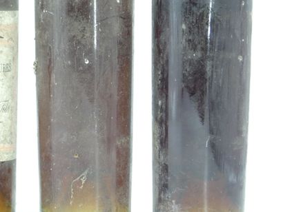 6 bouteilles de DANGLADE & FILS. Étiquettes...