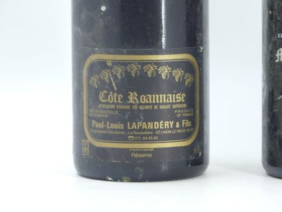 2 MAGNUM ROUGE
1 magnum de COTE ROANNAISE,...