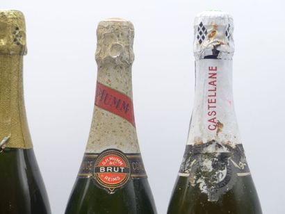 LOT 10 CHAMPAGNES
1 bouteille de CHAMPAGNE...