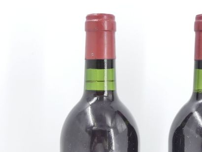 2 HAUT MARBUZET 1976
2 bouteilles de SAINT...