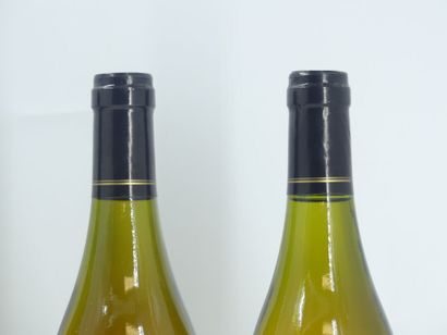 6 MEUSAULT 2008 CHARLES ANTONON
6 Bouteilles...