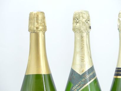 1 bouteille de CHAMPAGNE, SAINTGYBRYEN

2...