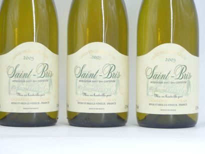 6 bouteilles de ST BRIS 2003 DOMAINE PETITJEAN





Sur...