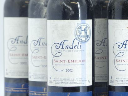 12 ANDELI 2002
12 bouteilles de ST EMILION,...
