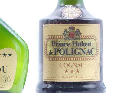 1 COGNAC PRINCE HUBERT DE POLIGNAC	

1 ARMAGNAC...