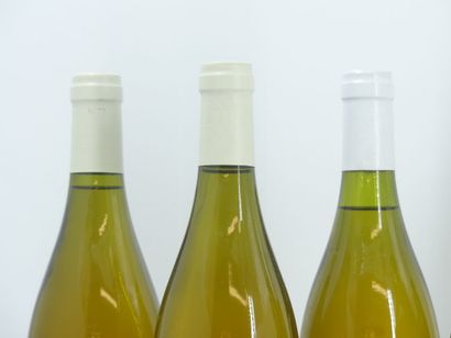 7 CORTON CHARLEMAGNE 1999 ANTONIN 
7 Bottles...