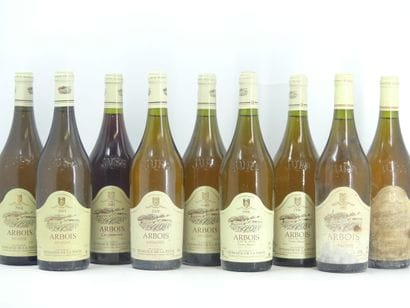 9 ARBOIS DOMAINE DE LA PINTE 
2 bouteilles...