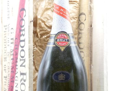 1 DOUBLE MAGNUM CHAMPAGNE MUMM ANNEES 70





Sur...