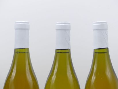 6 bouteilles de SAINT ROMAIN BLANC COMBE...