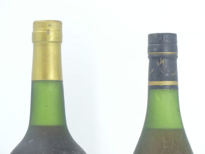 2 COGNAC
1 bouteille de COGNAC, V.S.O.P,...