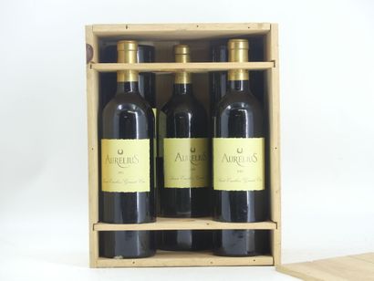 5 AURELIUS 2001
5 bouteilles de ST EMILION,...