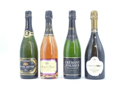 4 bouteille de MOUSSEUX
1 bouteille de CHAMPAGNE,...