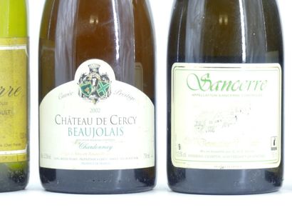 1 bouteille de NUITS ST GEORGES, 1996, Roger...