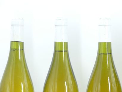 6 bouteilles de ST BRIS 2003 DOMAINE PETITJEAN





Sur...