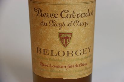 1 CALVADOS V.S.O.P
1 bouteille de CALVADOS,...