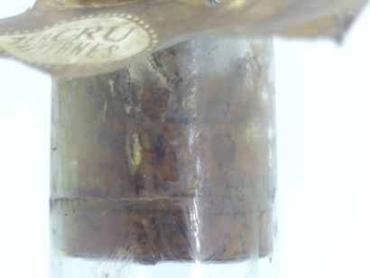 1 CHATEAU RABAUD PROMIS 1969
1 bouteille...