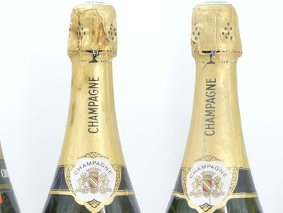 6 bouteille de mousseux
1 bouteille de CHAMPAGNE,...