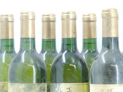 12 LES PLANTIERS DU HAUT BRION, 1991
12 bouteille...