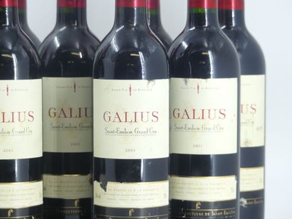 12 GALIUS 2001
12 bouteilles de ST EMILION,...