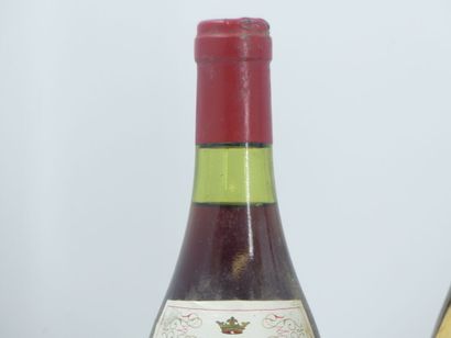 lot 3 BOURGOGNES
2 bouteilles de NUITS SAINT...