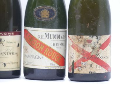 LOT 10 CHAMPAGNES
1 bouteille de CHAMPAGNE...