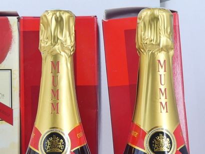 6 CHAMPAGNE MUMM
4 bouteilles de CHAMPAGNE,...