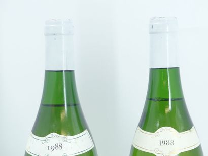 2 CHASSAGNE MONTRACHET 1C 1988
2 bouteilles...