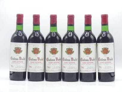 6 SAINT ESTEPHE
6 bouteilles de SAINT ESTEPHE...