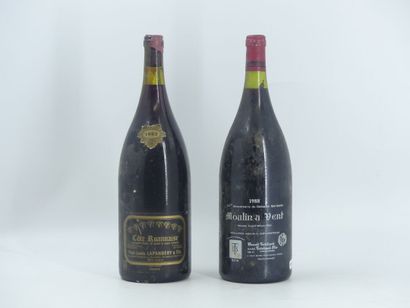 2 MAGNUM ROUGE
1 magnum de COTE ROANNAISE,...