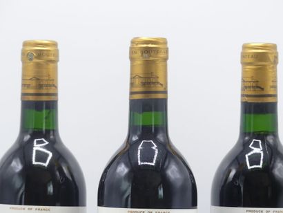 3 bouteilles de HAUT MEDOC 1985 CHÂTEAU CARONNE...