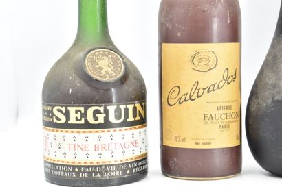 6 BOUTEILLE D'ALCOOL
1 bouteille de MANDARINE...