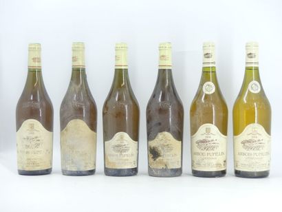 6 ARBOIS PUPILLIN DOMAINE LA PINTE 
2 bouteilles...
