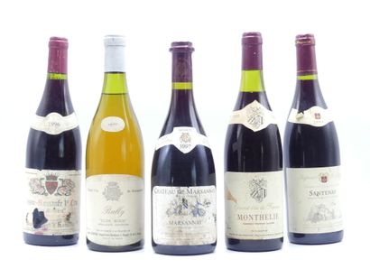 1 bouteille de SANTENAY 2004 CAVE DES HAUTES...