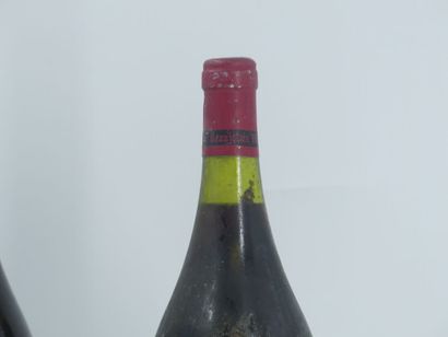 2 MAGNUM ROUGE
1 magnum de COTE ROANNAISE,...