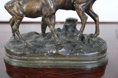 Alfred DUBUCAND (1828-1894), Stag and doe,...