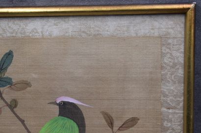 CHINE. Volatile sur une branche, peinture...