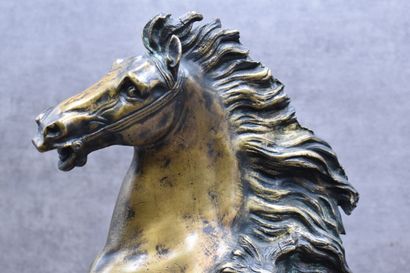 Horse of Marly after COUSTOU, bronze mounted...
